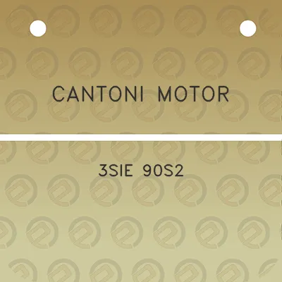 cantoni-motor-3sie-90s2