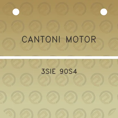 cantoni-motor-3sie-90s4