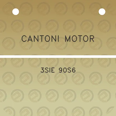 cantoni-motor-3sie-90s6