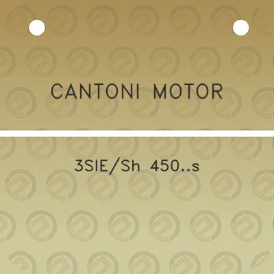 cantoni-motor-3siesh-450s