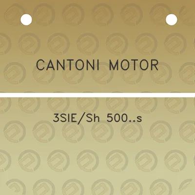 cantoni-motor-3siesh-500s