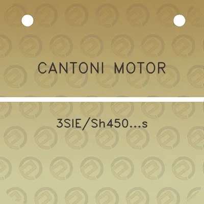 cantoni-motor-3siesh450s