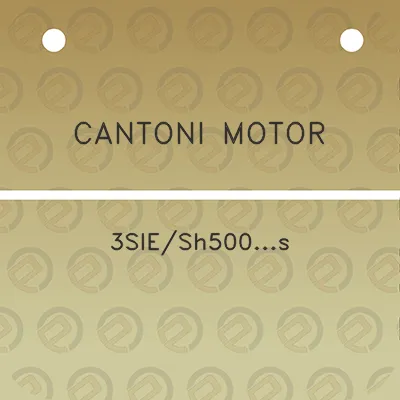 cantoni-motor-3siesh500s