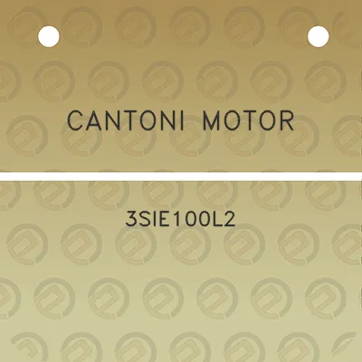 cantoni-motor-3sie100l2