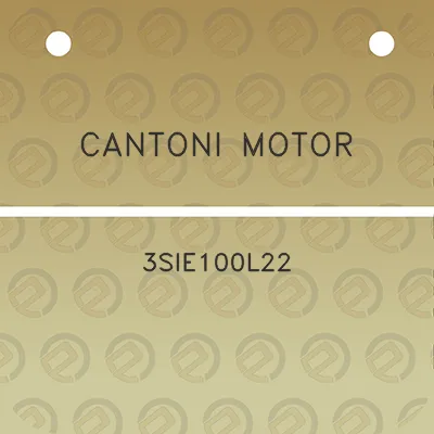 cantoni-motor-3sie100l22