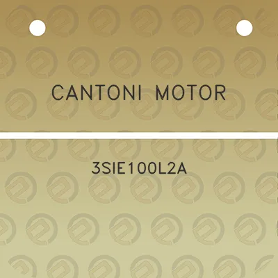 cantoni-motor-3sie100l2a