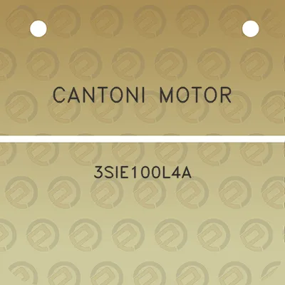 cantoni-motor-3sie100l4a