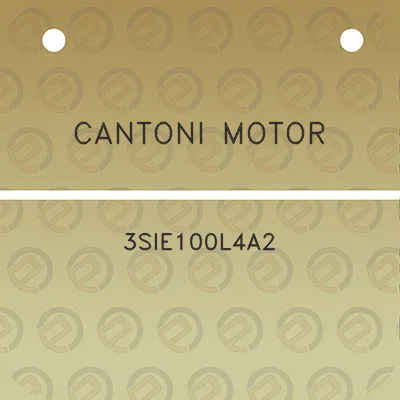 cantoni-motor-3sie100l4a2