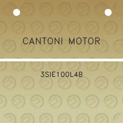 cantoni-motor-3sie100l4b