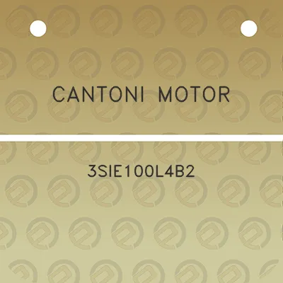 cantoni-motor-3sie100l4b2