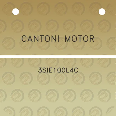 cantoni-motor-3sie100l4c