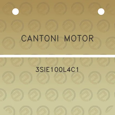 cantoni-motor-3sie100l4c1