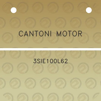 cantoni-motor-3sie100l62