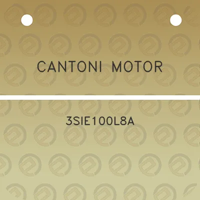 cantoni-motor-3sie100l8a