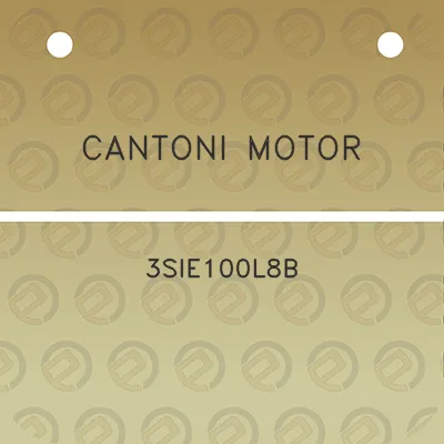 cantoni-motor-3sie100l8b