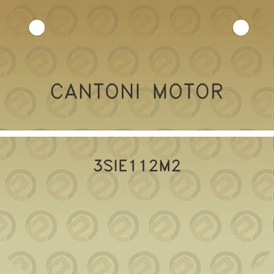 cantoni-motor-3sie112m2