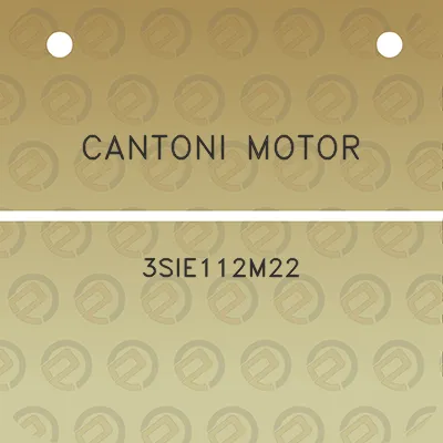 cantoni-motor-3sie112m22