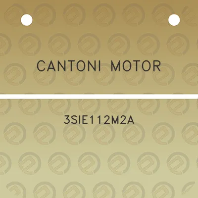 cantoni-motor-3sie112m2a