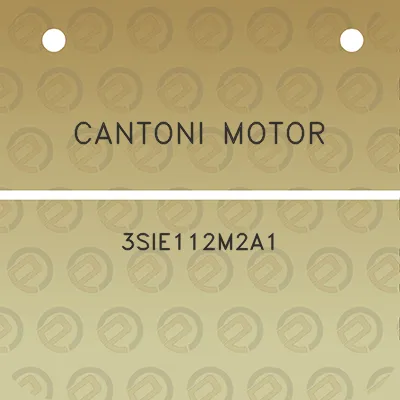 cantoni-motor-3sie112m2a1