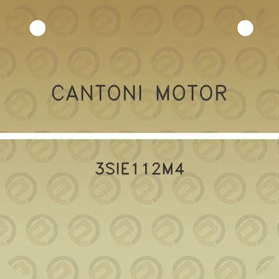 cantoni-motor-3sie112m4