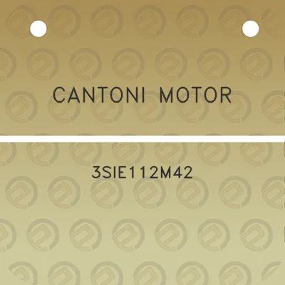 cantoni-motor-3sie112m42