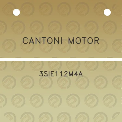 cantoni-motor-3sie112m4a