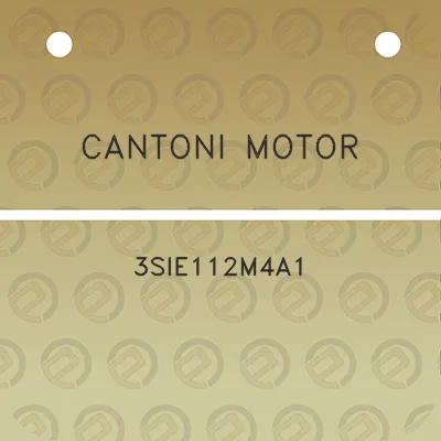 cantoni-motor-3sie112m4a1