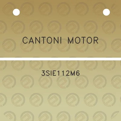 cantoni-motor-3sie112m6