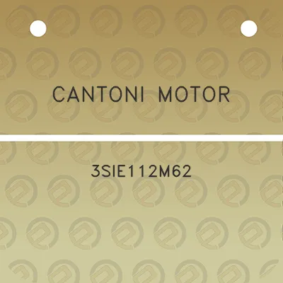 cantoni-motor-3sie112m62