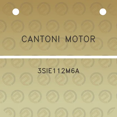 cantoni-motor-3sie112m6a