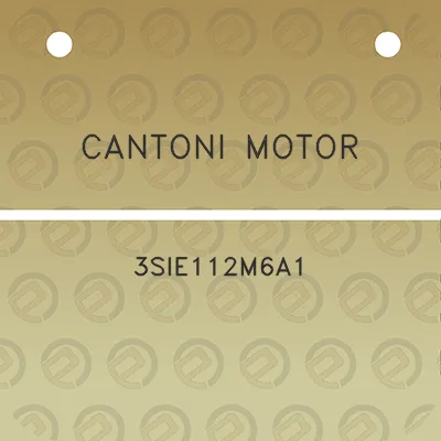 cantoni-motor-3sie112m6a1