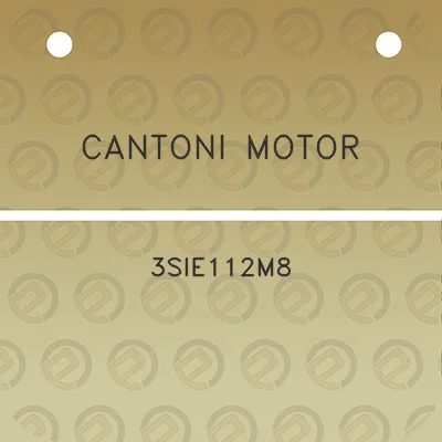 cantoni-motor-3sie112m8