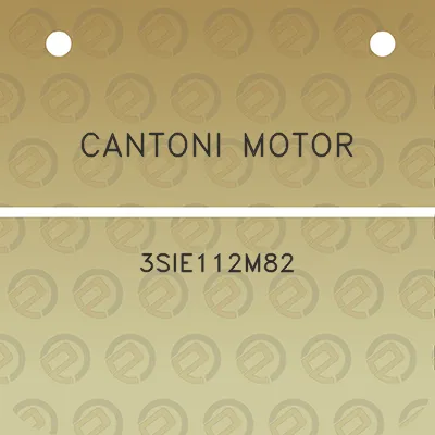 cantoni-motor-3sie112m82