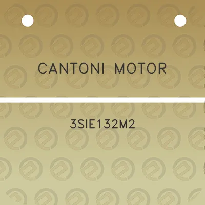 cantoni-motor-3sie132m2