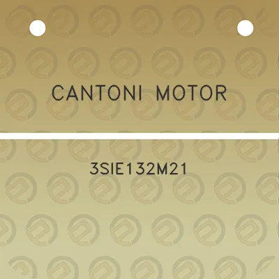 cantoni-motor-3sie132m21