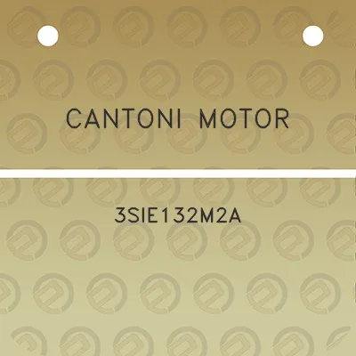 cantoni-motor-3sie132m2a