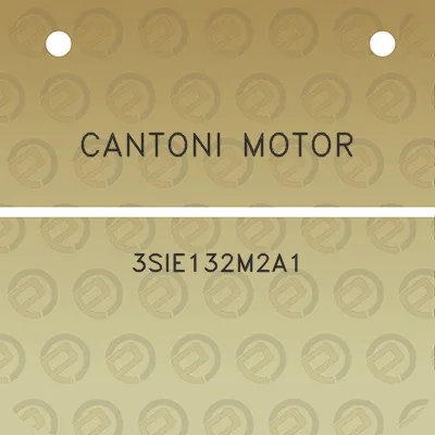 cantoni-motor-3sie132m2a1