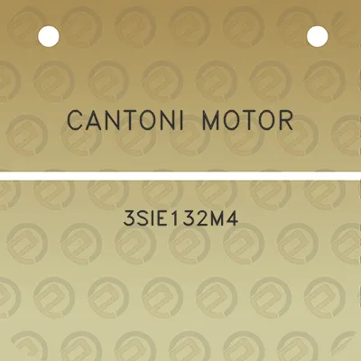 cantoni-motor-3sie132m4