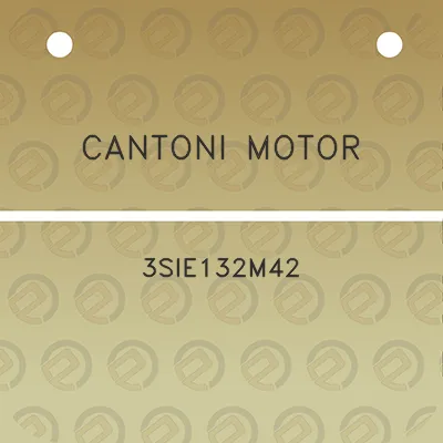 cantoni-motor-3sie132m42