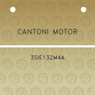 cantoni-motor-3sie132m4a