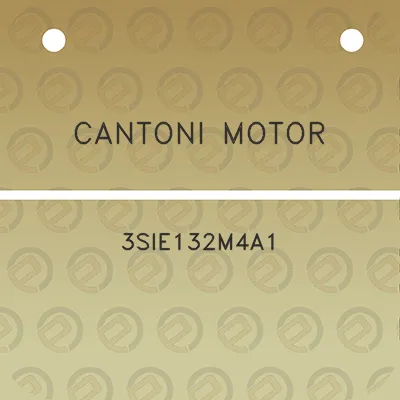 cantoni-motor-3sie132m4a1