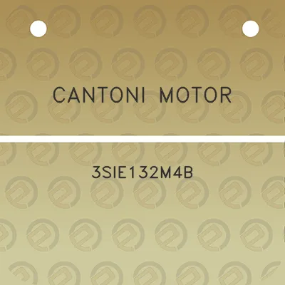 cantoni-motor-3sie132m4b