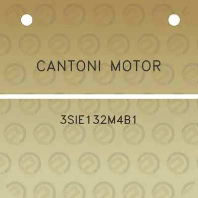 cantoni-motor-3sie132m4b1