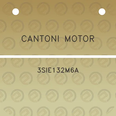 cantoni-motor-3sie132m6a