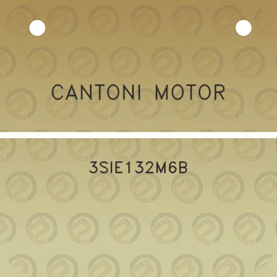 cantoni-motor-3sie132m6b