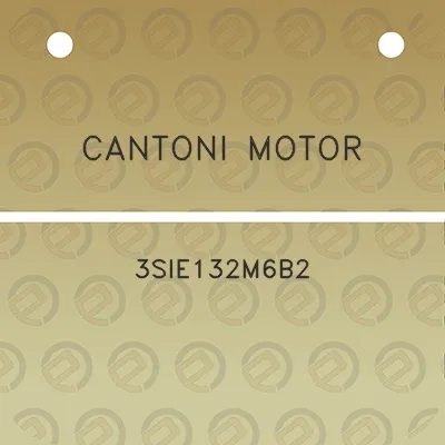 cantoni-motor-3sie132m6b2