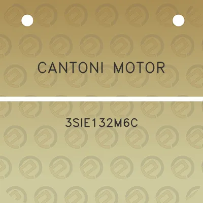 cantoni-motor-3sie132m6c