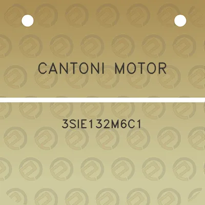 cantoni-motor-3sie132m6c1