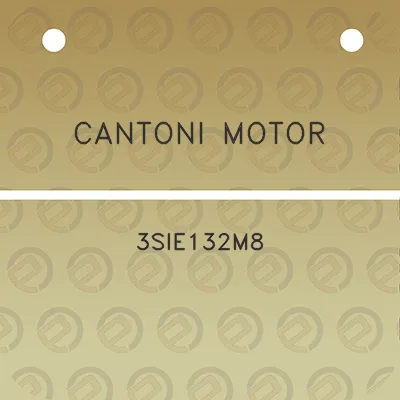 cantoni-motor-3sie132m8