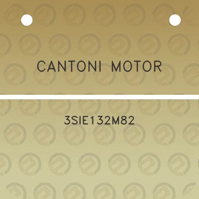 cantoni-motor-3sie132m82